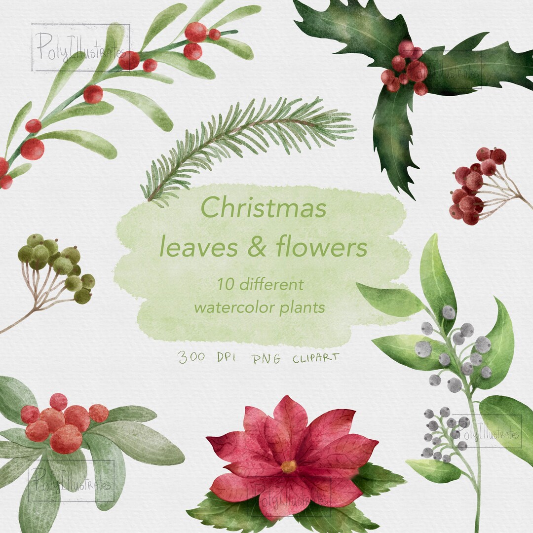 Watercolor Christmas Plants Clipart Holiday Winter Etsy