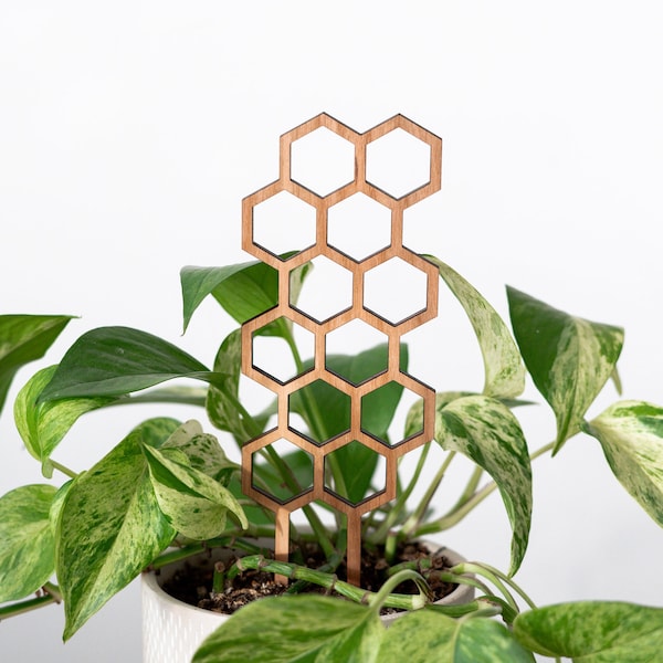 Honeycomb Plant Trellis, Indoor Plant Trellis, Climbing Plant Trellis, House Plant Trellis, Plant Lover Gift, Plant Accessory, Plant Support