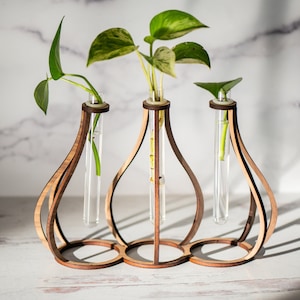 Station De Propagation Pour Boutures - 3 Vases En Verre + Socle Bois - Pour Hydroponie, Décoration Bureau, Maison - Design élégant
