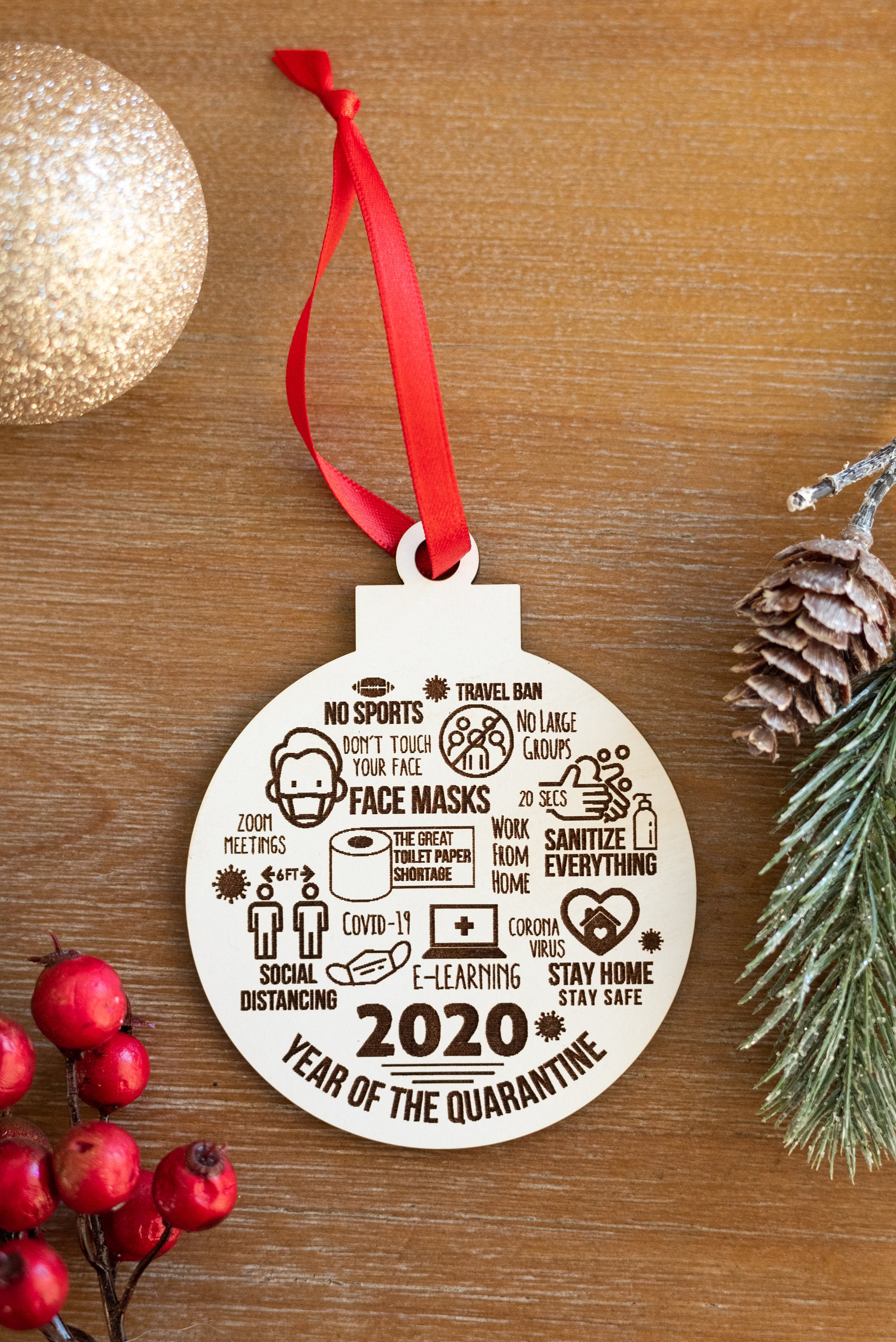 2020 Christmas Ornament Funny 2020 Ornament White Elephant Etsy