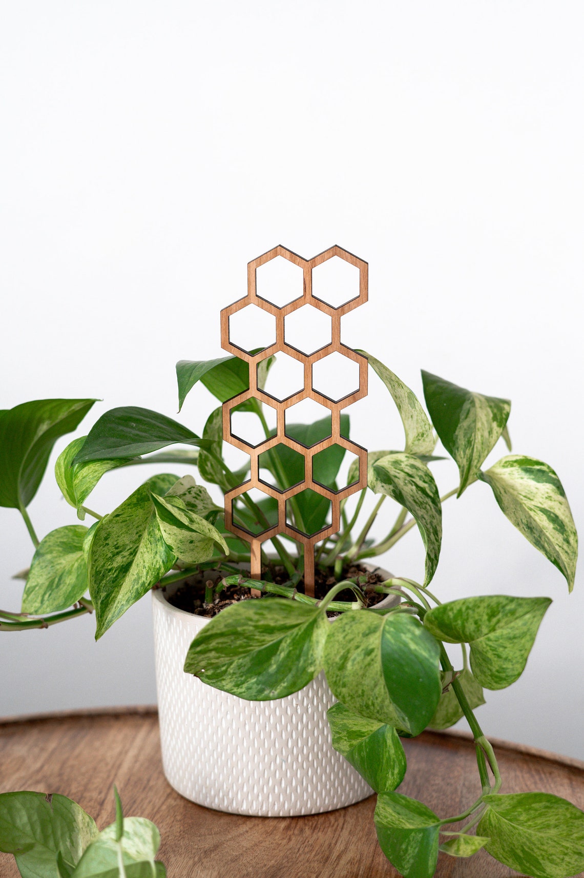 Plant Trellis Indoor Plant Trellis Climbing Plant Etsy Canada