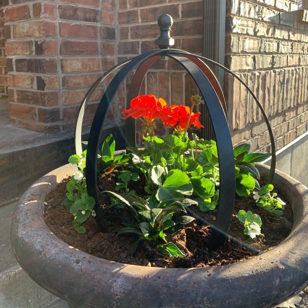 Garden Globes. (3 rings)