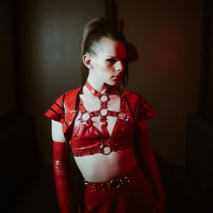 VIL Latex Harness | Custom Made To Fit