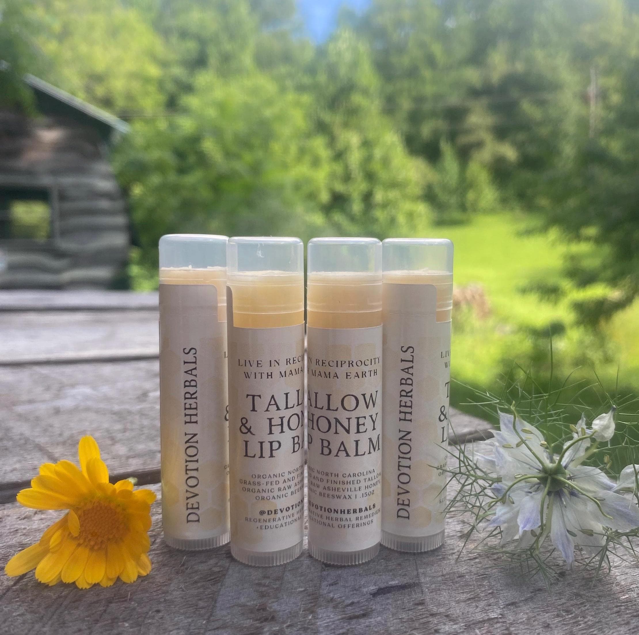 Tallow Honey Lip Balm, Organic, Grass-fed and Finished Tallow, Raw Asheville Honey, Organic Beeswax, BPA-Free Reusable Tube
