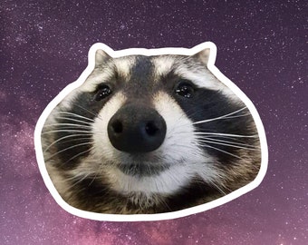 Raccoon Memes Etsy