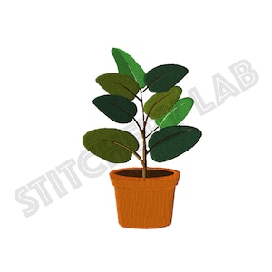 May include: A potted plant with green leaves in a brown pot. The plant has a single stem with multiple leaves.