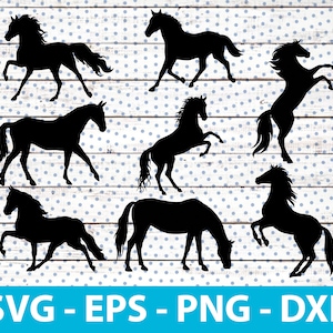 Paard Bundel Silhouet svg, eps, png, dxf, Paard cameo, Paard Clipart, Paard vector, Paard svg Horse png Paard cricut Horse gesneden bestand