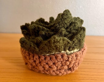 Crochet Plant Coasters