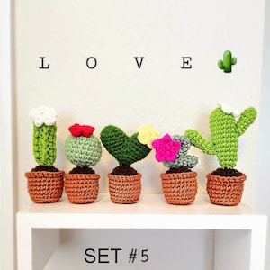 Juego de macetas de pie tejidas a crochet con forma de cactus / en letras "LOVE"