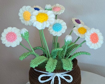 Crochet Big Daisy Pots
