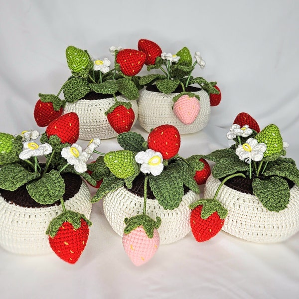 Crochet Standing Strawberry Pots