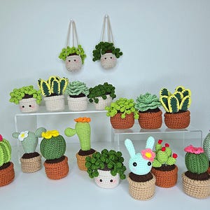 Cute Crochet Standing and Hanging Succulents Pots, Plants | For Decoration