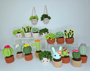 Handmade Crochet Succulent Plant Pot: Hanging or Standing Decor