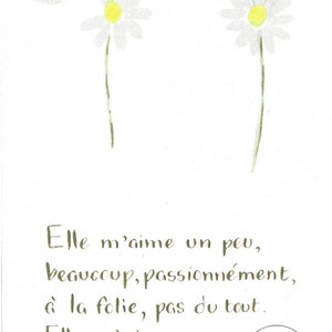 Carte "Il m'aime, un peu, beaucoup, ..." image 4