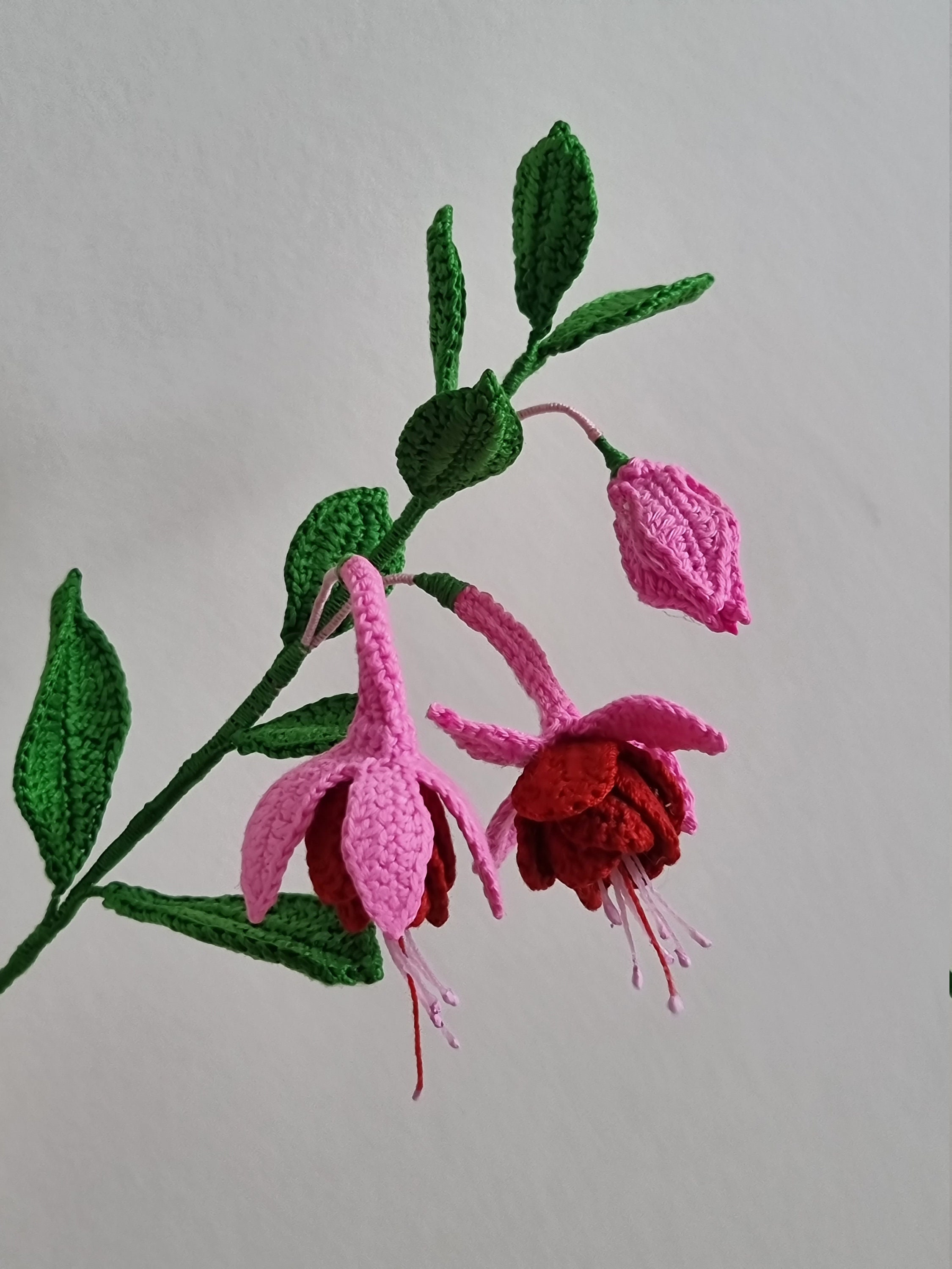 Crochet Pattern Fuchsia - Etsy
