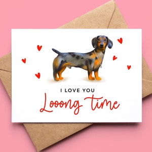 I Love You Long Time Dachshund Valentines / Anniversary Card | Sausage Dog | Special Boyfriend, Girlfriend