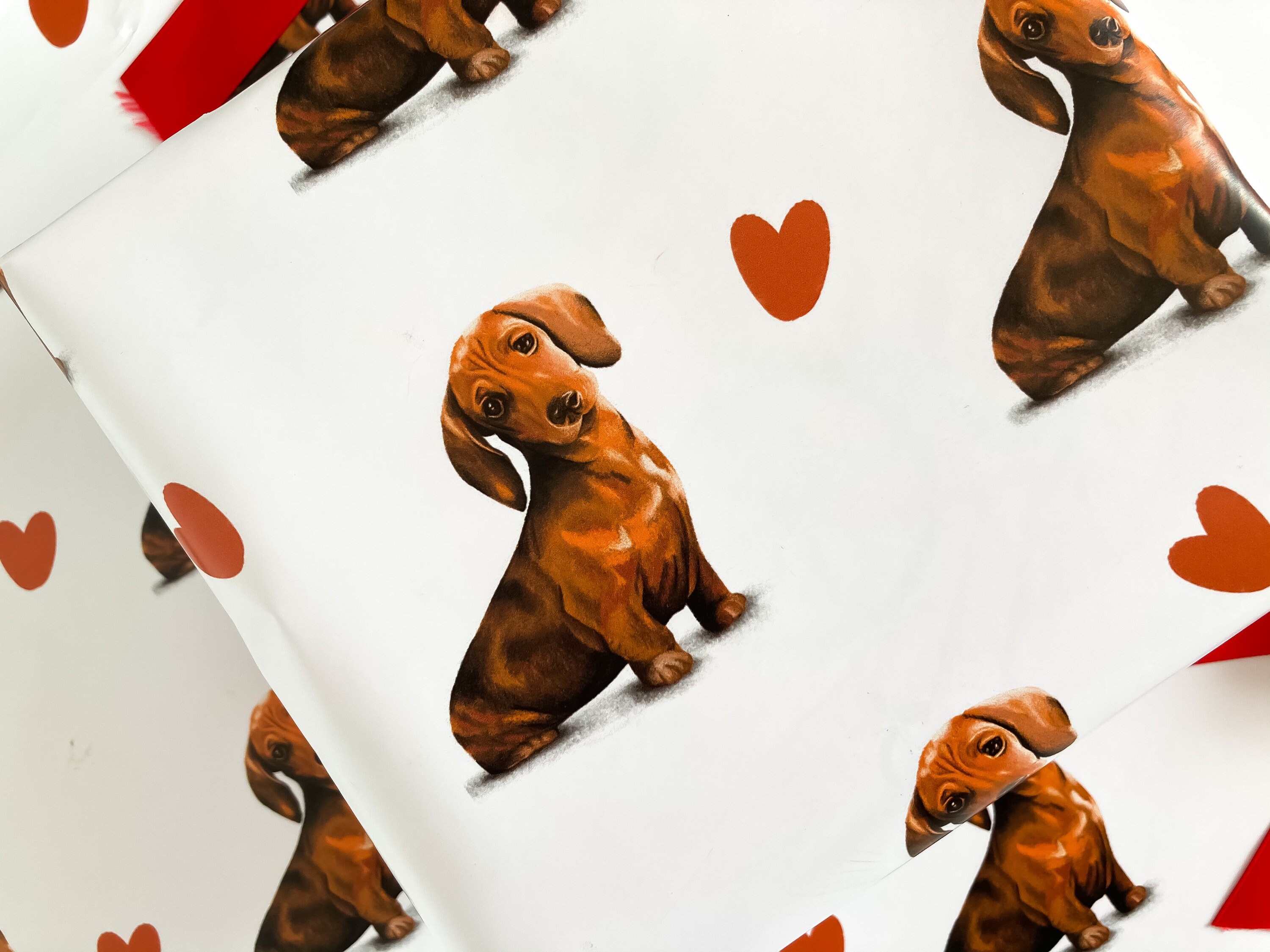 Sausage dog wrapping paper SECONDS SALE Dachshund wrapping Etsy