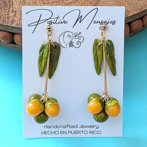 Puerto Rico Jewelry | Quenepa Bunch Fruit Earrings | Made in PR