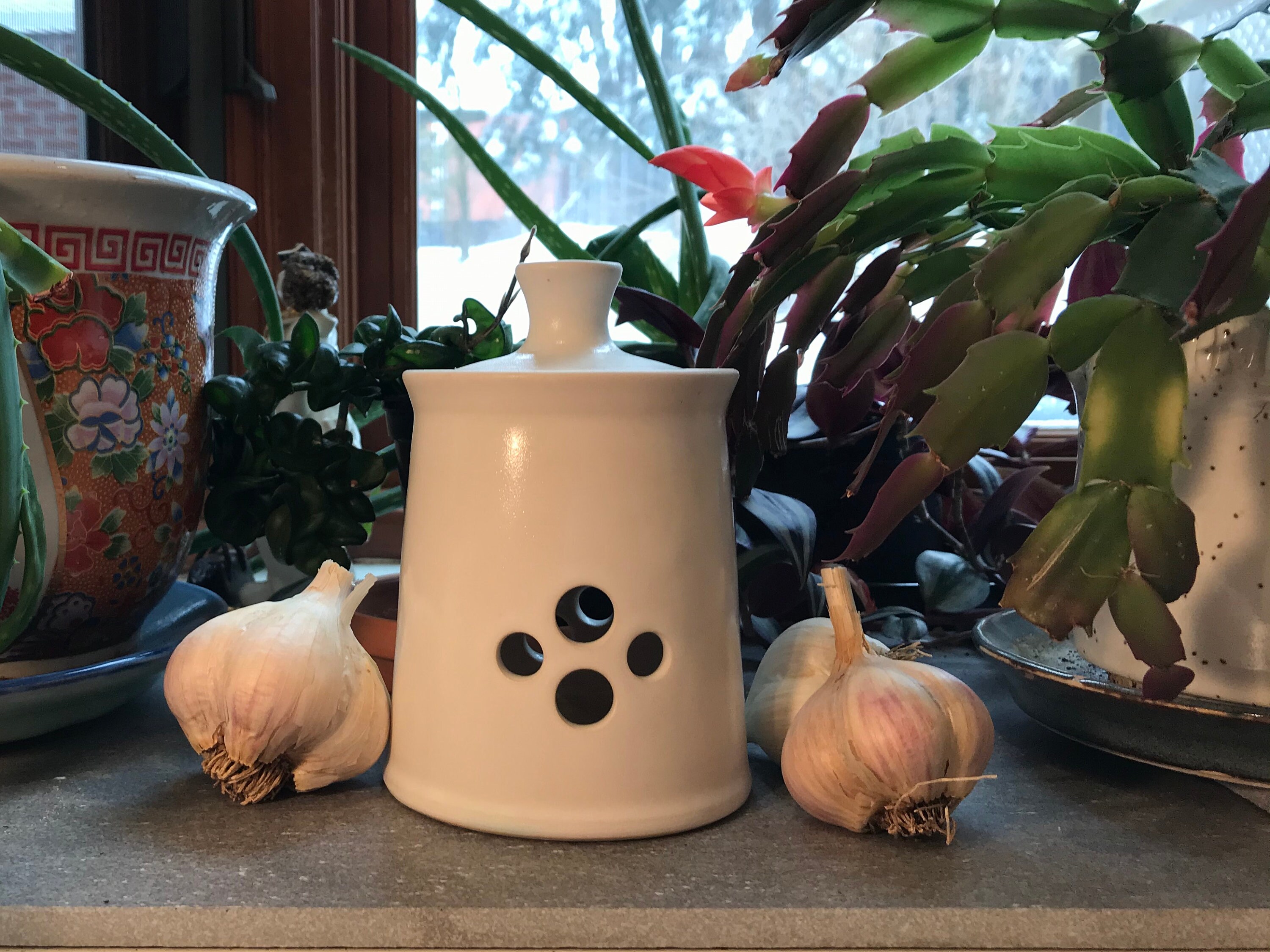 Garlic Pot Garlic Holder Ceramic Garlic Keeper Pottery Etsy