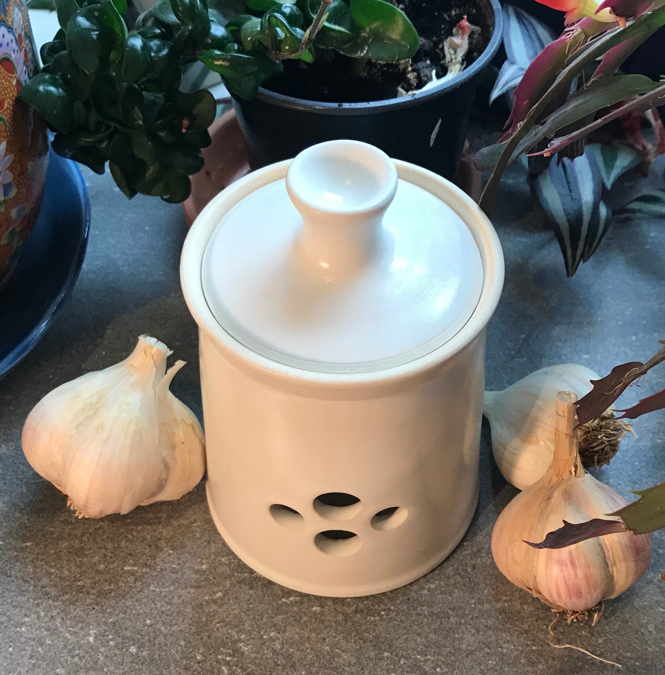 Garlic Pot Garlic Holder Ceramic Garlic Keeper Pottery Etsy