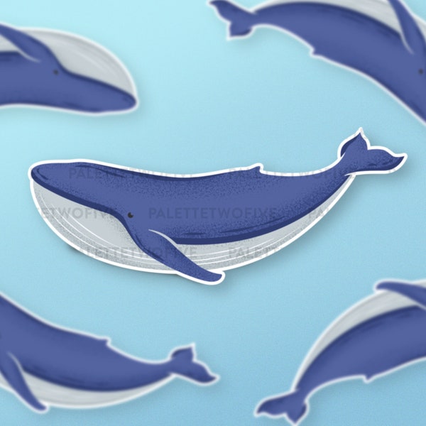 Whale Sticker, Whale Decal, Blue Whale Sticker, Gray Whale Sticker - Wall Decal, Laptop Sticker, Water Bottle Sticker - 3"