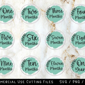 Pacote Baby Milestone para discos acrílicos - Arquivos Svg para Cricut e Silhouette, Baby Mama Svg, New Baby Svg, Png
