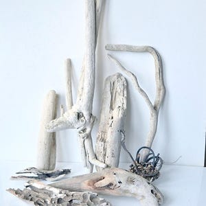 Drift Wood Pieces Set Of 8 Pieces, Natural Dried Wood For Project Crafts Terrarium Fairy Garden Dried Ocean Wood, Organic Decor Creations