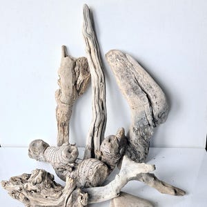 Drift Wood Pieces Set Of 7 Pieces, Natural Dried Wood For Project Crafts Terrarium Fairy Garden Dried Ocean Wood, Organic Decor Creations
