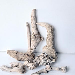 Drift Wood Pieces Set Of 7 Pieces, Natural Dried Wood For Project Crafts Terrarium Fairy Garden Dried Ocean Wood, Organic Decor Creations