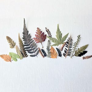May include: An arrangement of dried leaves in various shapes and colors, including green, brown, and orange, are arranged in a row against a white background. The leaves are of different sizes and textures, creating a natural, organic design.