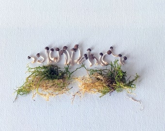 May include: A collection of small mushrooms with brown caps and slender, off-white stems arranged above a bed of green and tan moss. The mushrooms are of varying sizes, creating a natural, earthy aesthetic. The background is a plain white canvas.
