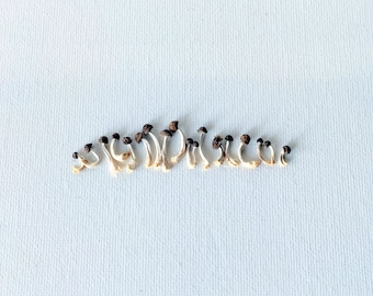 May include: A collection of small mushrooms with dark brown caps and slender, off-white stems arranged in a curved line against a light blue background. The mushrooms are in various stages of growth.