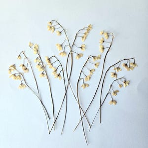 Dried Set of 12 Lilies Of The Valley Flowers Natural Dried Resin Project Pressed Flowers For Plant Jewelry Organic Flowers For Resin