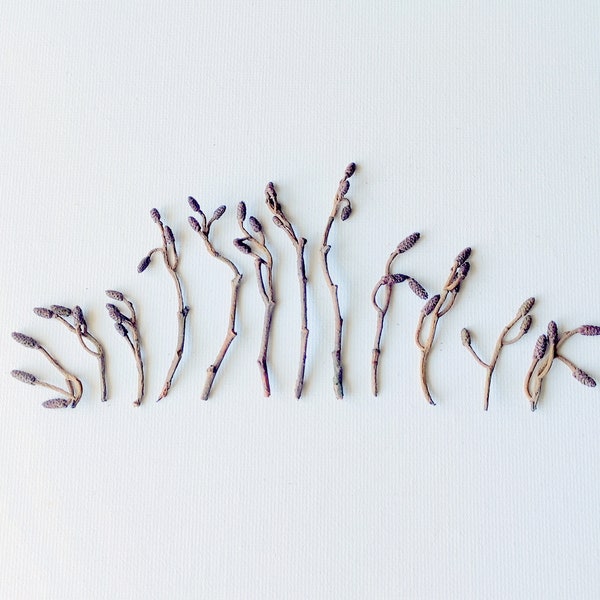 Dried Set of 12 Alder Tiny Cones with Branches Natural Dried Resin Project Crafts Terrarium Fairy Garden Dried Plants Organic Mini Decor