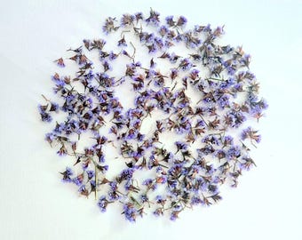 Dried Sea Lavender BAG Bunch Purple Tiny Natural Dried Resin Project Pressed Flowers For Jewelry Dried Plants Organic Flowers Rustic Decor