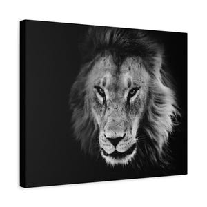 Druck auf Leinwand, Löwe, Schwarzweiß, Wohnzimmerdekor, Matt Gespannt, Löwe Poster, Dschungeltier Kunstdruck, Wildtier Safari