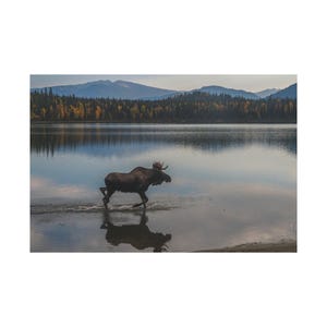 Canvas Art Print, Rustic Moose Wall Decor, Cabin Lodge Wildlife Painting, Nature Home Decor, Wilderness Animal Poster, Farmhouse Wall Decor
