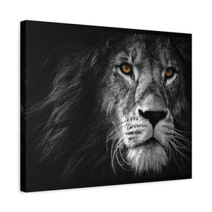Druck auf Leinwand, Löwe, Schwarzweiß, Wohnzimmerdekor, Matt Gespannt, Löwe Poster, Dschungeltier Kunstdruck, Wildtier Safari