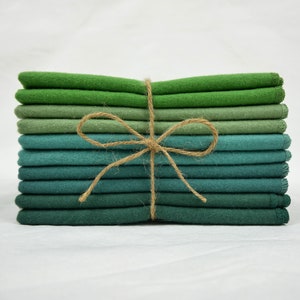 Forest 100% Cotton Flannel Towels 10pc Green Set 1-ply Paperless Unpaper Towels Reusable Wash Cloth Ocean Forest Gift Zero Waste Kitchen