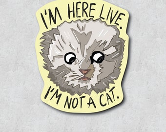 Viral Lawyer Cat Filter Sticker - Humorous Online Quote - Hand-Drawn Style - Water-Resistant Vinyl Adhesive - Water Bottle Sticker