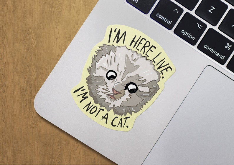 Viral Lawyer Cat Filter Sticker Humorous Online Quote Etsy