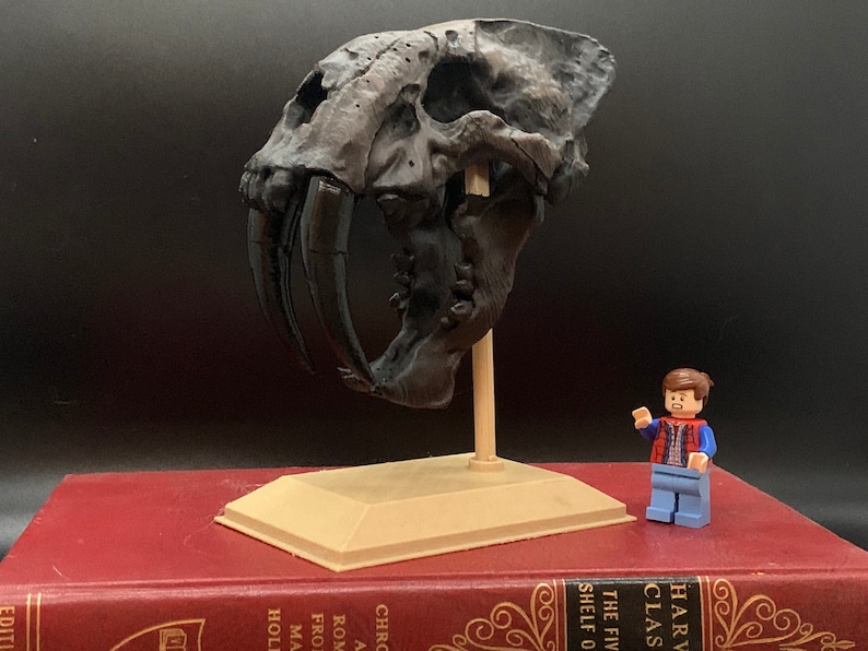 Sabertoothed tiger skull replica Smilodon 3D Print Etsy