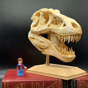 Réplique du crâne de tyrannosaure rex, impression 3D peinte à la main