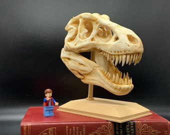 Tyrannosaurus rex skull replica, hand painted 3D Print