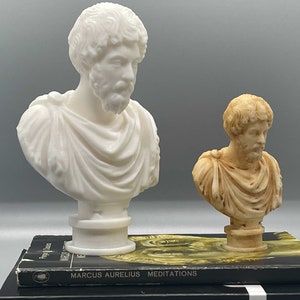 Puede incluir: Dos bustos de esculturas del emperador romano Marco Aurelio. La escultura de la izquierda es blanca y la escultura de la derecha es de color marr&oacute;n claro. Ambas esculturas est&aacute;n encima de un libro titulado "Marcus Aurelius Meditations".