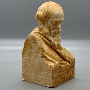 May include: A beige bust sculpture of a man with a long beard. The sculpture is made of a textured material that resembles wood.