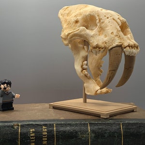 Saber-toothed tiger skull replica, Smilodon, 3D Print