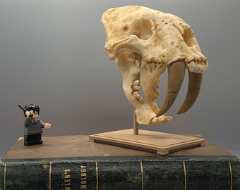 サーベルタイガーの頭蓋骨レプリカ、スミロドン、3Dプリント