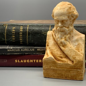 May include: A wooden bust of a man with a beard and a long, flowing robe. The bust is sitting on a stack of books. The books have titles that include "Fowler's Phrenology", "Marcus Aurelius Meditations", and "Slaughterhouse Five".