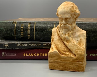 Socrates Bust Greek Statue